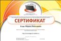 Сертификат участника сетевого профессионального сообщества "Нетфолио"